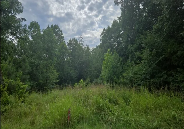 Photo 1 of Land for sale at 0 Barber Hwy, Cumberland City, TN 37050 | MLS# 3180138 | Listing updated on 2026-10-10