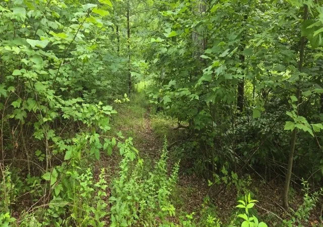 Photo 3 of Land for sale at 0 Barber Hwy, Cumberland City, TN 37050 | MLS# 3180138 | Listing updated on 2026-10-10