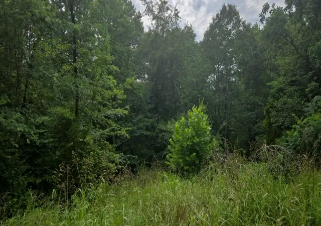 Photo 4 of Land for sale at 0 Barber Hwy, Cumberland City, TN 37050 | MLS# 3180138 | Listing updated on 2026-10-10