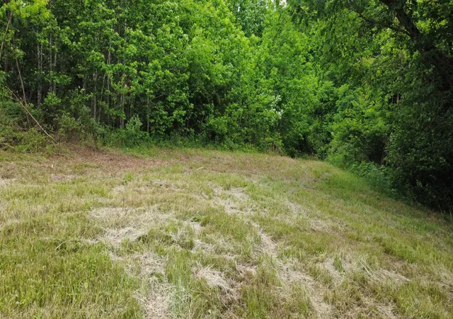Homes for sale in Hampshire, TN | 0 Love Branch Rd, Hampshire, TN 38461 | MLS# 3190874