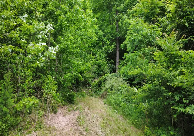 Homes for sale in Hampshire, TN | 0 Love Branch Rd, Hampshire, TN 38461 | MLS# 3190874