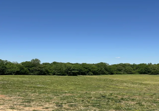 4th image of 2161 Hwy 259, Portland, TN 37148 | MLS# 3180437