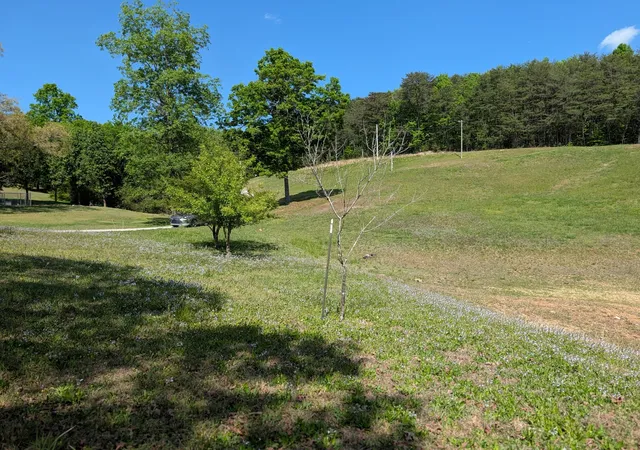 Photo 3 of Land for sale at 135 Garren Hart Ln, Spring City, TN 37381 | MLS# 3304350 | Listing updated on 2026-09-21