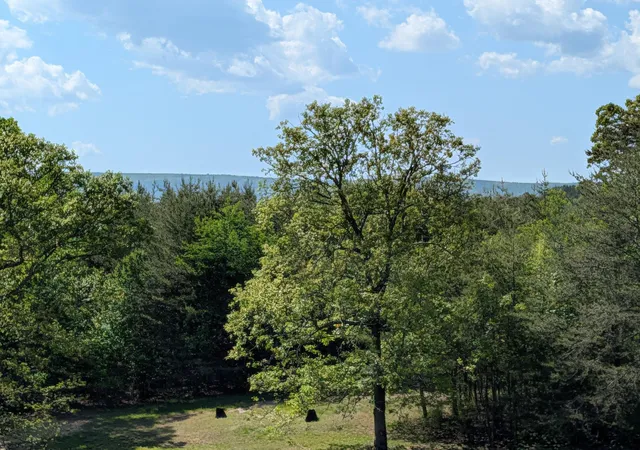 Photo 3 of Land for sale at 135 Garren Hart Ln, Spring City, TN 37381 | MLS# 3304350 | Listing updated on 2026-09-21