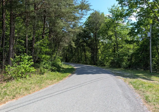 Photo 4 of Land for sale at 135 Garren Hart Ln, Spring City, TN 37381 | MLS# 3304350 | Listing updated on 2026-09-21