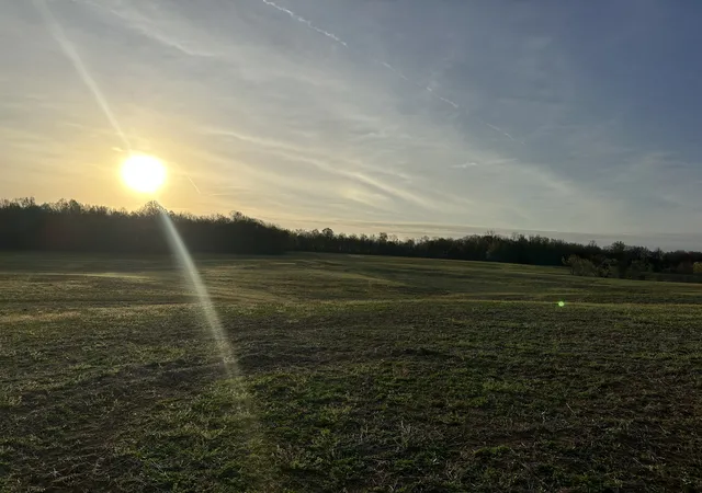 Homes for sale in Portland, TN | 2193 Hwy 259, Portland, TN 37148 | MLS# 3180430
