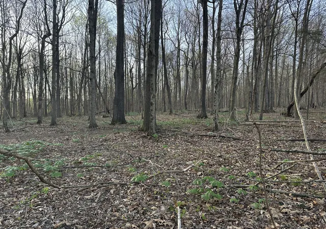 1st image of 163 White Rd, Portland, TN 37148 | MLS# 3180423