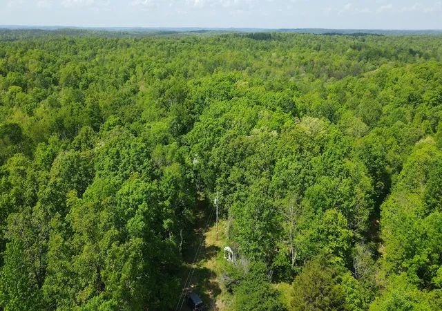 Photo 2 of Land for sale at 578 Cyclone Ln, Waverly, TN 37185 | MLS# 3180373 | Listing updated on 2026-08-05