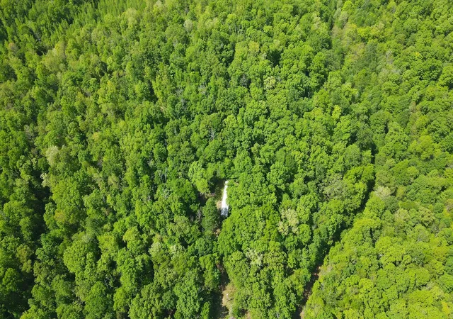 Photo 3 of Land for sale at 578 Cyclone Ln, Waverly, TN 37185 | MLS# 3180373 | Listing updated on 2026-08-05