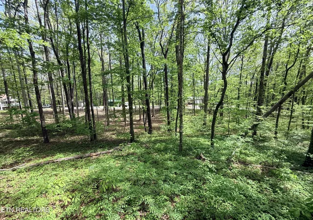 Homes for sale in Jamestown, TN | 549 Yellow Cliff Estates Rd, Jamestown, TN 38556 | MLS# 3255770