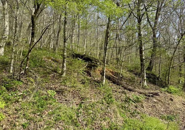 Homes for sale in Sharps Chapel, TN | 1 Lay Hollow Rd, Sharps Chapel, TN 37866 | MLS# 3180510