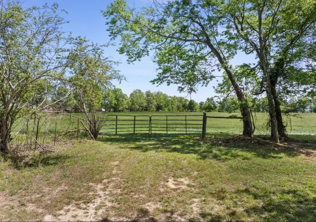 Homes for sale in Iron City, TN | 0 Chisholm Rd, Iron City, TN 38463 | MLS# 3180967