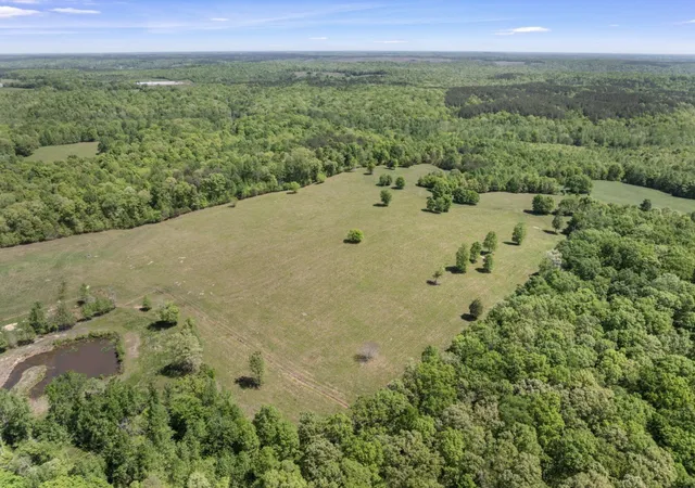Homes for sale in Iron City, TN | 0 Chisholm Rd, Iron City, TN 38463 | MLS# 3180967