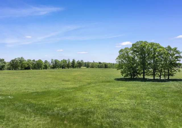 Homes for sale in Iron City, TN | 0 Chisholm Rd, Iron City, TN 38463 | MLS# 3180967