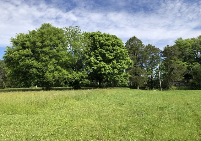 Homes for sale in Decherd, TN | 0 Blue Springs Rd, Decherd, TN 37324 | MLS# 3191251