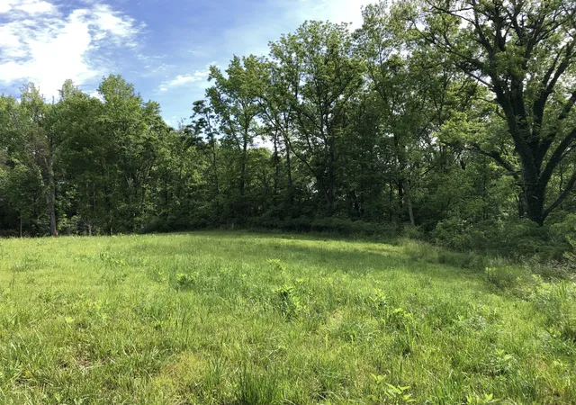 Homes for sale in Decherd, TN | 0 Blue Springs Rd, Decherd, TN 37324 | MLS# 3191251