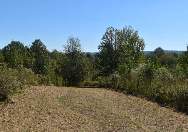 Homes for sale in Lewisburg, TN | 0 New Lake Road, Lewisburg, TN 37091 | MLS# 3180800