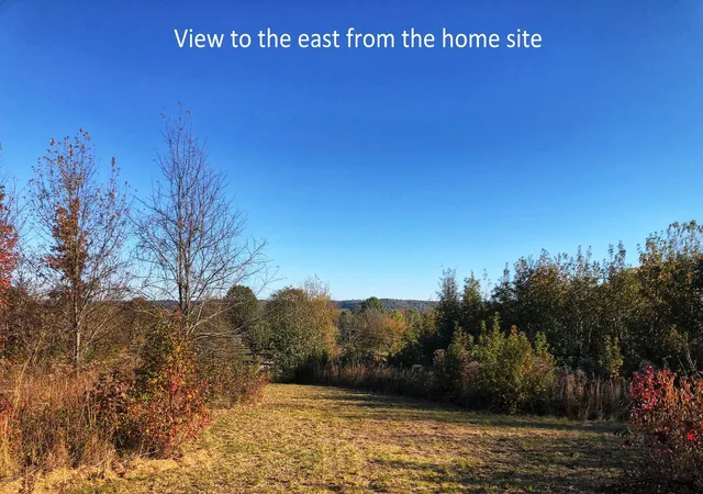 Homes for sale in Lewisburg, TN | 0 New Lake Road, Lewisburg, TN 37091 | MLS# 3180800