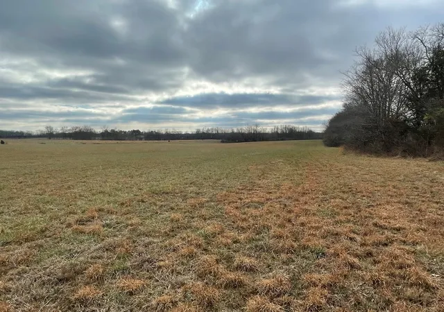 Photo 2 of Land for sale at 0 Sulphur Crk Rd, Big Sandy, TN 38221 | MLS# 3180835 | Listing updated on 2026-10-10