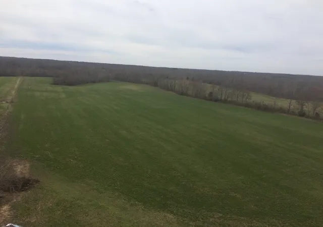 Photo 3 of Land for sale at 0 Sulphur Crk Rd, Big Sandy, TN 38221 | MLS# 3180835 | Listing updated on 2026-10-10