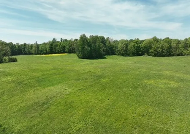 4th image of 1291 Old Clarksville Pike, Pleasant View, TN 37146 | MLS# 3182326