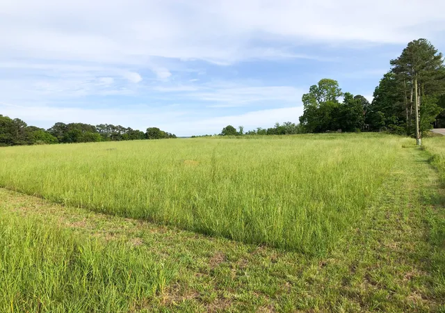 Photo 4 of Land for sale at 0 Old Holders Cvs Rd, Winchester, TN 37398 | MLS# 3186328 | Listing updated on 2026-05-06