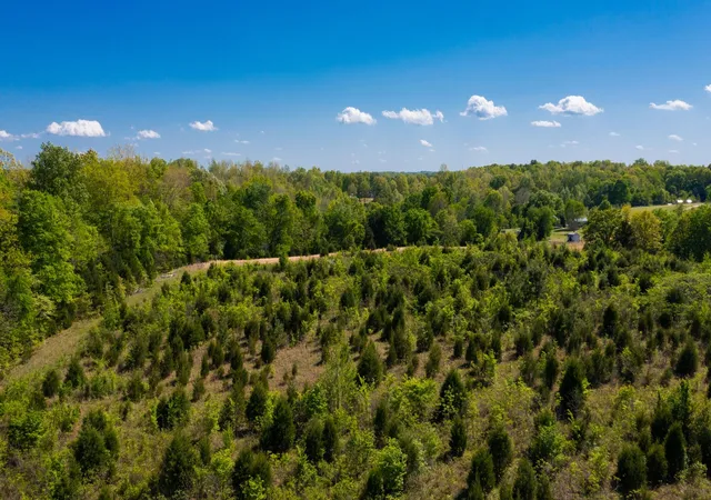 30th image of 881 Coaling Rd, Charlotte, TN 37036 | MLS# 3181698