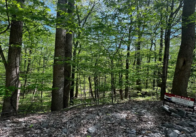 Photo 1 of Land for sale at 0 Lola Dr, Smithville, TN 37166 | MLS# 3186059 | Listing updated on 2026-05-19
