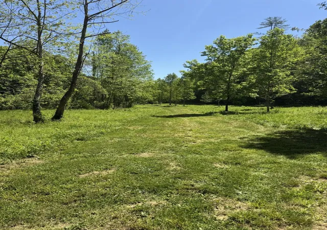 3rd image of 915 Chestnut Valley Road, Vonore, TN 37885 | MLS# 3216199