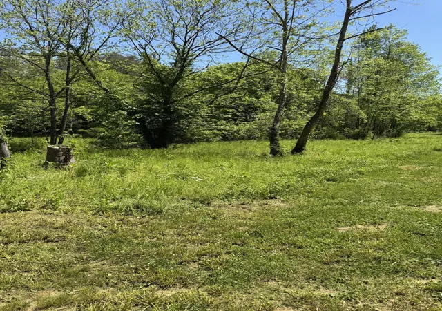 5th image of 915 Chestnut Valley Road, Vonore, TN 37885 | MLS# 3216199