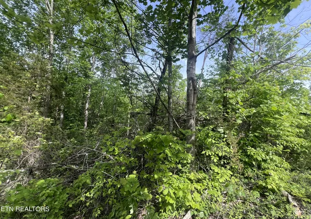 Homes for sale in Monroe, TN | 0 Big Hollow Rd, Monroe, TN 38573 | MLS# 3255766