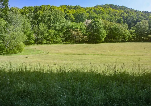 Photo 1 of Land for sale at 0 Harpeth Peytonsville Rd, Thompson's Station, TN 37179 | MLS# 3181489 | Listing updated on 2026-08-20
