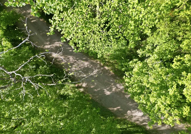 4th image of 364 Lock Ln, Tazewell, TN 37879 | MLS# 3181737