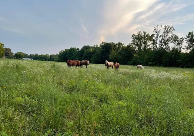 1st image of 301 Laster Holman, Decherd, TN 37324 | MLS# 3181927