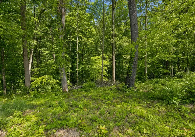 Photo 22 of Land for sale at 0 Casparis Rd, Franklin, TN 37064 | MLS# 3182581 | Listing updated on 2026-08-22