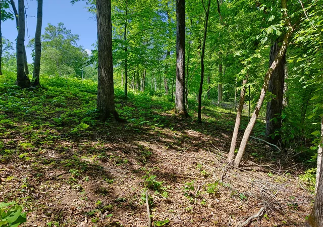 Photo 2 of Land for sale at 0 Casparis Rd, Franklin, TN 37064 | MLS# 3182581 | Listing updated on 2026-10-10