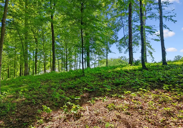 Photo 3 of Land for sale at 0 Casparis Rd, Franklin, TN 37064 | MLS# 3182581 | Listing updated on 2026-10-10