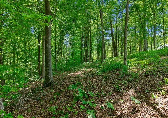 Photo 4 of Land for sale at 0 Casparis Rd, Franklin, TN 37064 | MLS# 3182581 | Listing updated on 2026-10-10