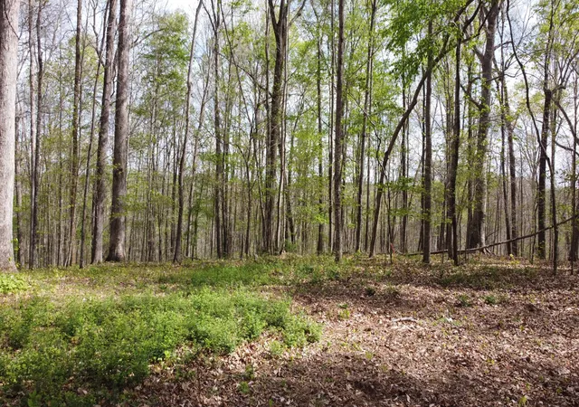 Photo 1 of Land for sale at 0 Off Johnson Chapel Rd, Sparta, TN 38583 | MLS# 3182758 | Listing updated on 2026-08-28