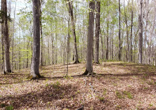 Photo 2 of Land for sale at 0 Off Johnson Chapel Rd, Sparta, TN 38583 | MLS# 3182758 | Listing updated on 2026-08-28