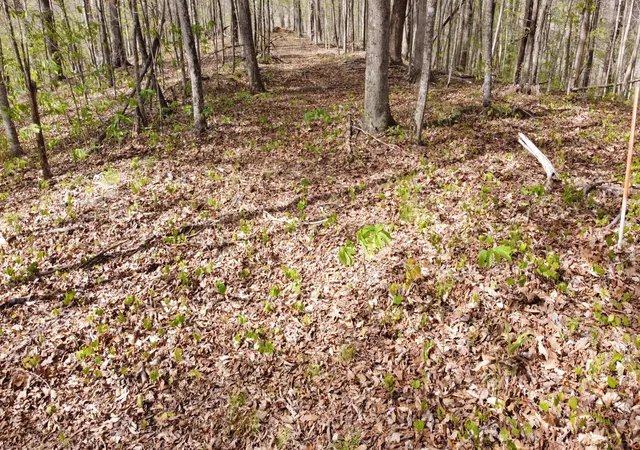 Photo 2 of Land for sale at 0 Off Johnson Chapel Rd, Sparta, TN 38583 | MLS# 3182758 | Listing updated on 2026-08-28