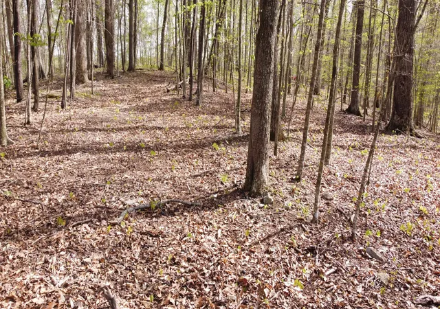 Photo 3 of Land for sale at 0 Off Johnson Chapel Rd, Sparta, TN 38583 | MLS# 3182758 | Listing updated on 2026-08-28