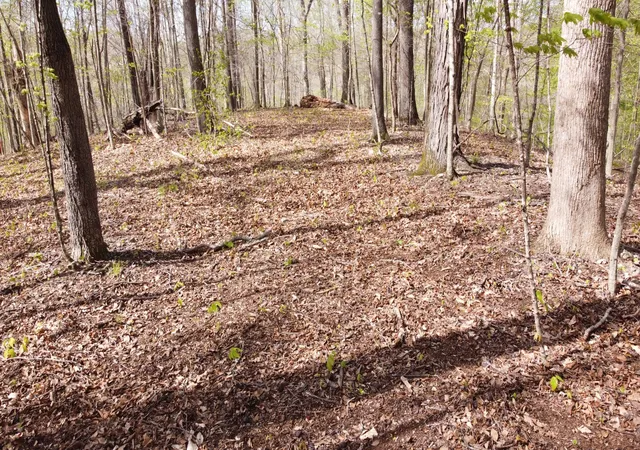 Photo 4 of Land for sale at 0 Off Johnson Chapel Rd, Sparta, TN 38583 | MLS# 3182758 | Listing updated on 2026-08-28