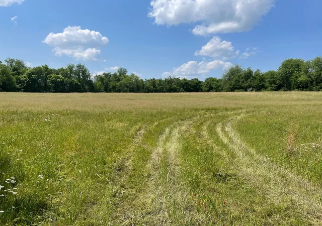 Photo 1 of Land for sale at 0 Maynard Ln, Columbia, TN 38401 | MLS# 3182041 | Listing updated on 2026-10-17