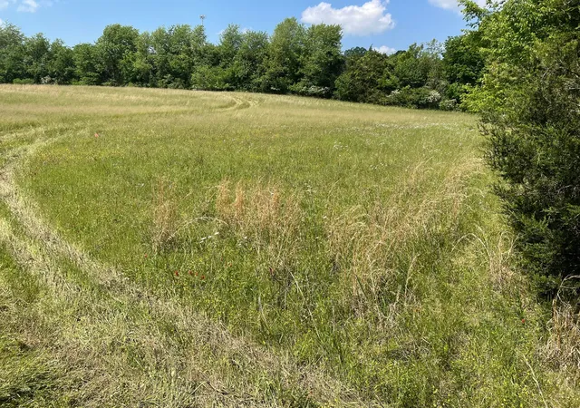 Photo 2 of Land for sale at 0 Maynard Ln, Columbia, TN 38401 | MLS# 3182041 | Listing updated on 2026-10-17