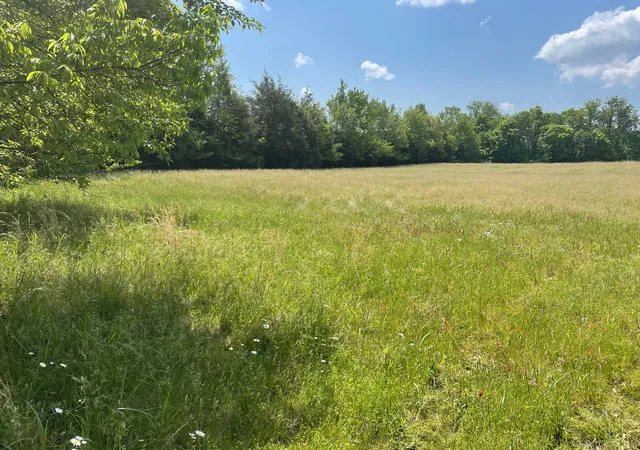 Photo 3 of Land for sale at 0 Maynard Ln, Columbia, TN 38401 | MLS# 3182041 | Listing updated on 2026-10-17
