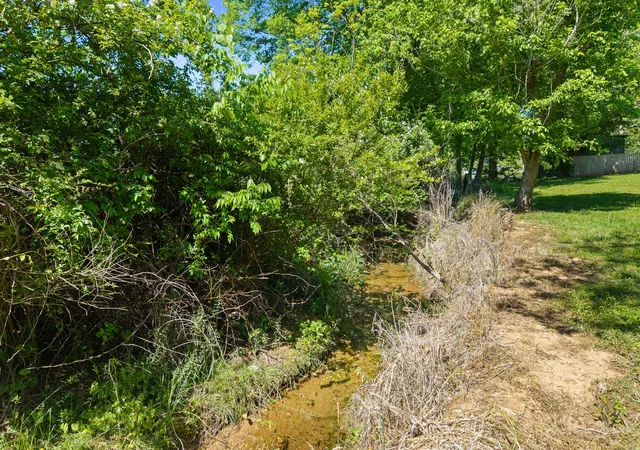 35th image of 217 Oakland Road, Sweetwater, TN 37874 | MLS# 3222057