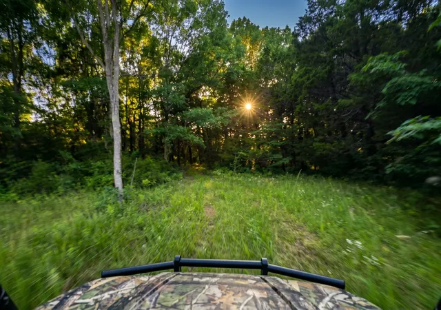 Photo 1 of Land for sale at 2099 Gentle Rd, Lewisburg, TN 37091 | MLS# 3214654 | Listing updated on 2026-07-24