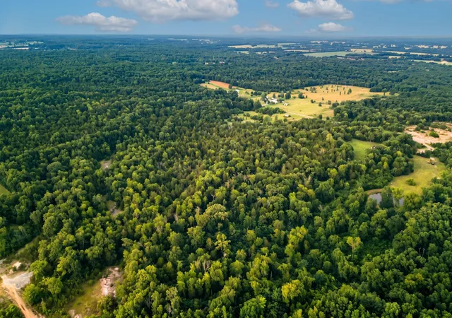 Photo 2 of Land for sale at 2099 Gentle Rd, Lewisburg, TN 37091 | MLS# 3214654 | Listing updated on 2026-07-24