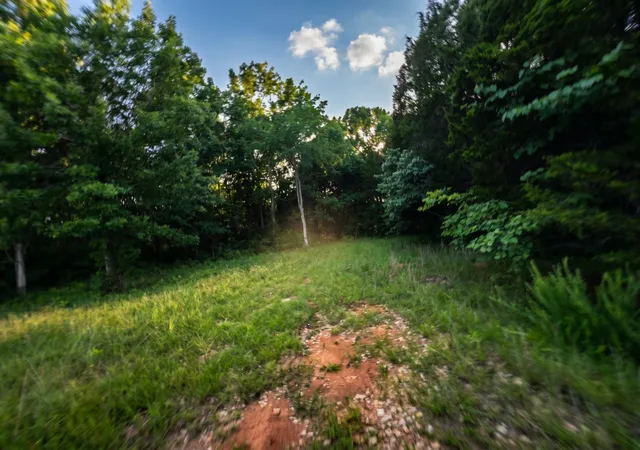 Photo 4 of House for sale at 2099 Gentle Rd, Lewisburg, TN 37091 | MLS# 3214654 | Listing updated on 2026-07-24